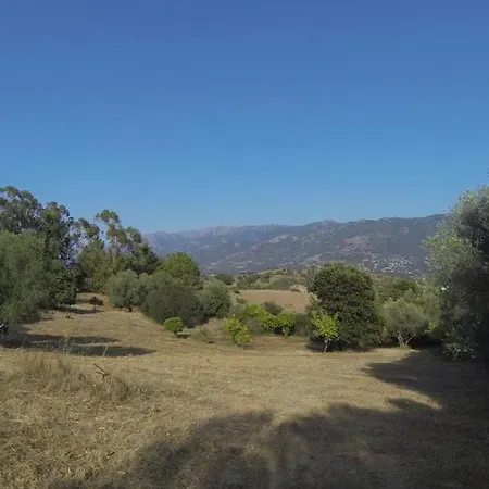 4 A 6 Pers A La Campagne 15 Mn Plages Et Ajaccio Grand Terrain Arbore Calme Assure Prázdninový dům Afa