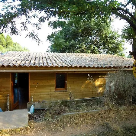 4 A 6 Pers A La Campagne 15 Mn Plages Et Ajaccio Grand Terrain Arbore Calme Assure Afa