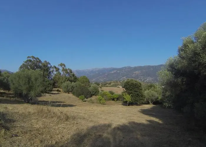 4 A 6 Pers A La Campagne 15 Mn Plages Et Ajaccio Grand Terrain Arbore Calme Assure Vakantiehuis Afa